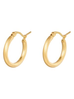 Oorbel Hoops Twisted