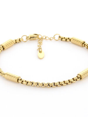 Kalli Jewelry - Schakelarmband Jasserson Goud